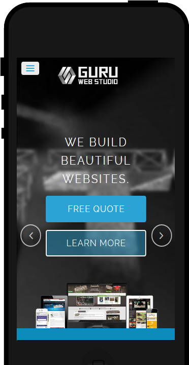 Guru Web Studio website design services